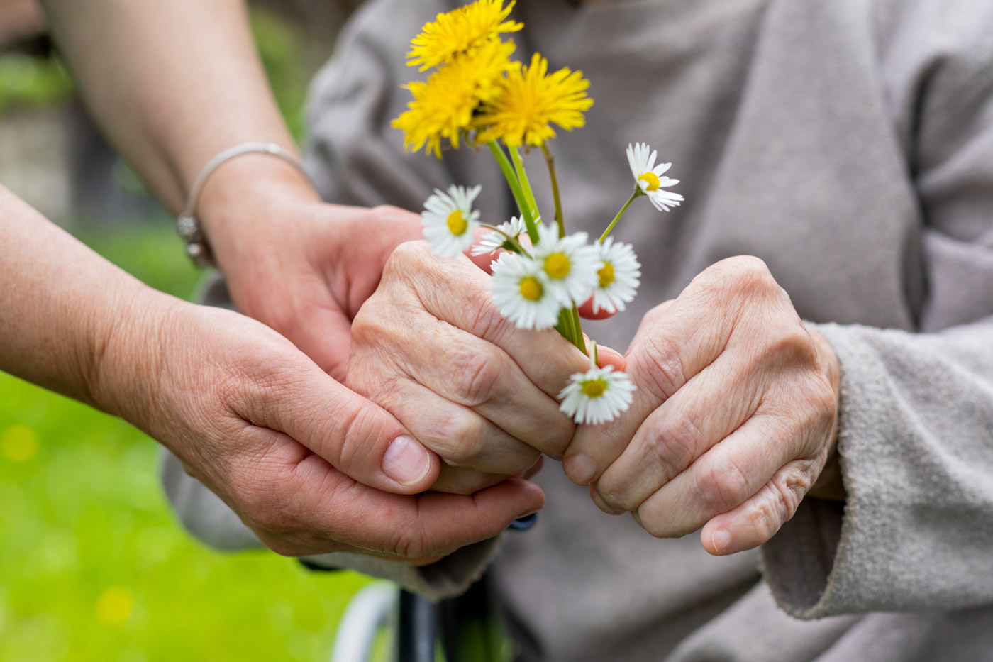 Two pairs of hands holding flowers outside